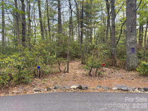Tbd Pine Point Road Spruce Pine NC 28777