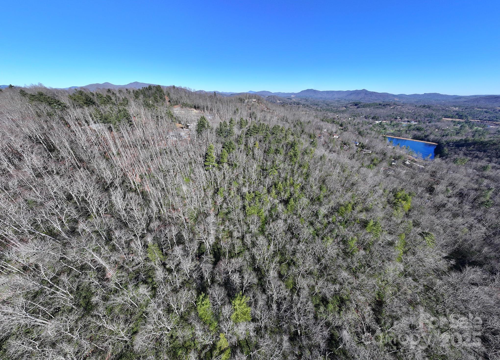 Tbd Pine Point Road Spruce Pine NC 28777