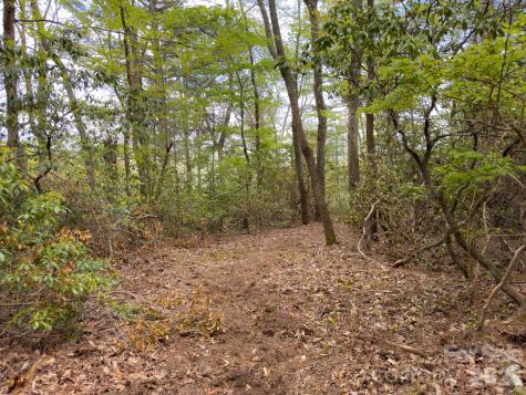 Tbd Pine Point Road Spruce Pine NC 28777
