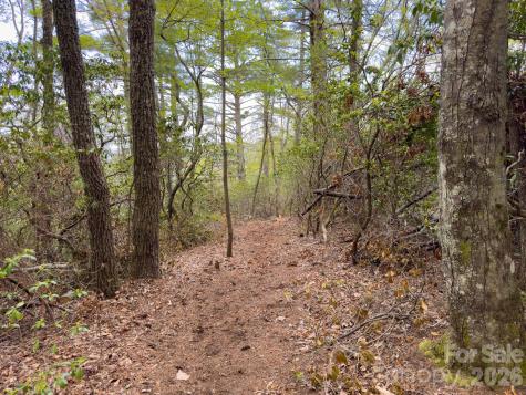 Tbd Pine Point Road Spruce Pine NC 28777
