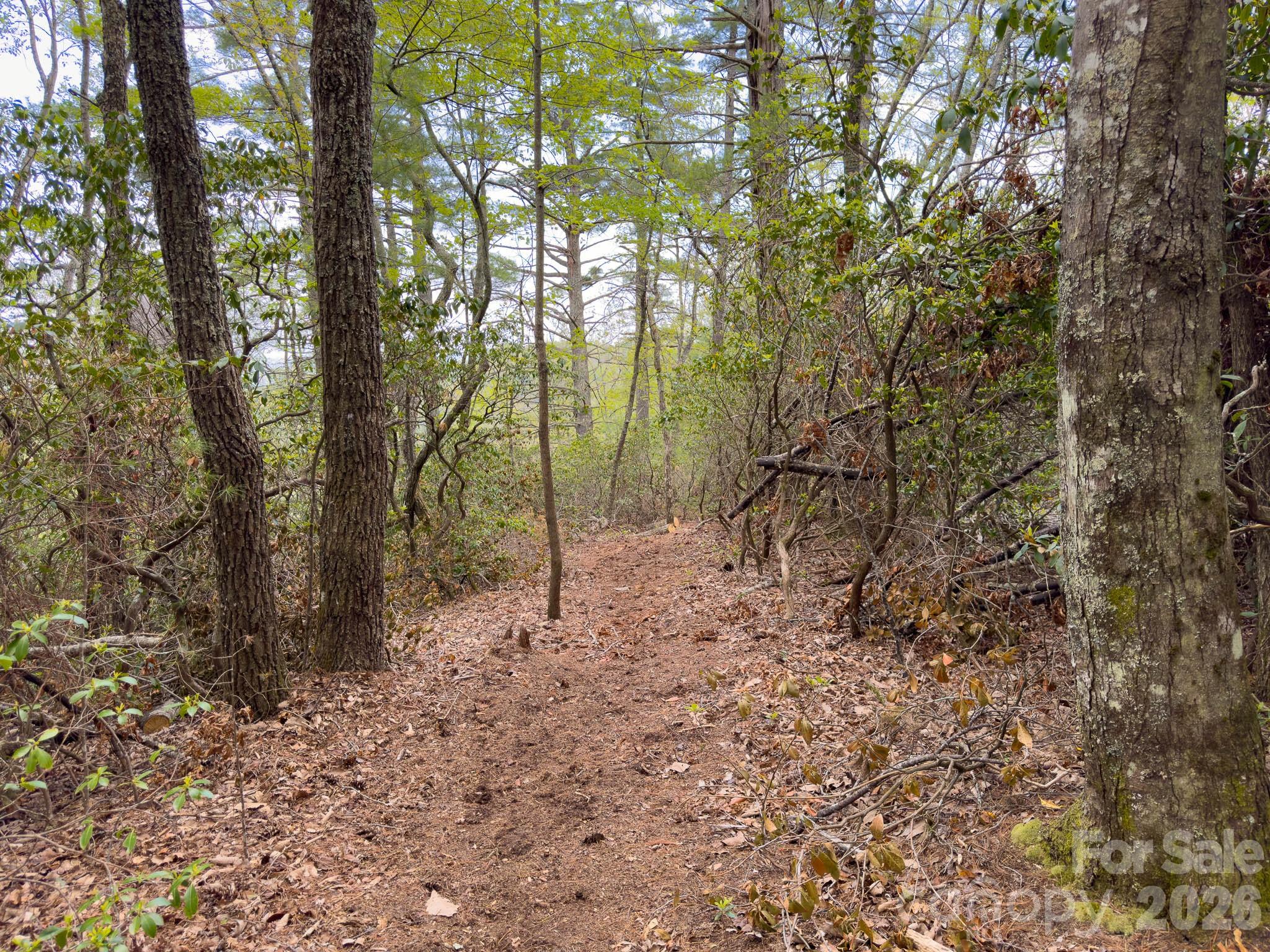 Tbd Pine Point Road Spruce Pine NC 28777