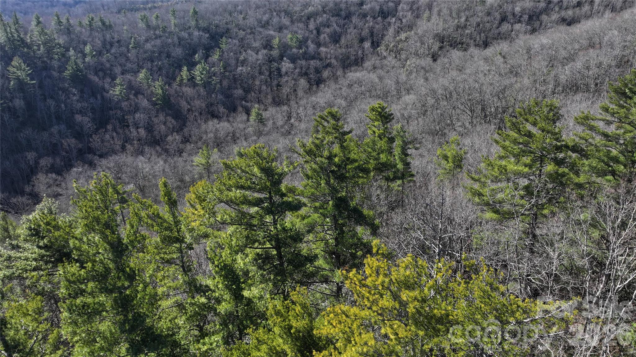 Tbd Pine Point Road Spruce Pine NC 28777