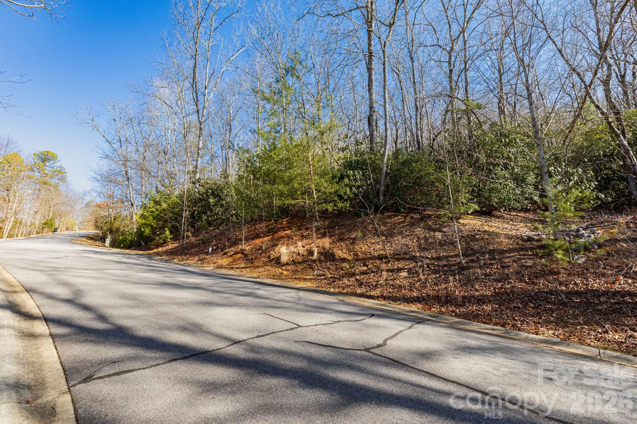 204 Settings Boulevard Black Mountain NC 28711