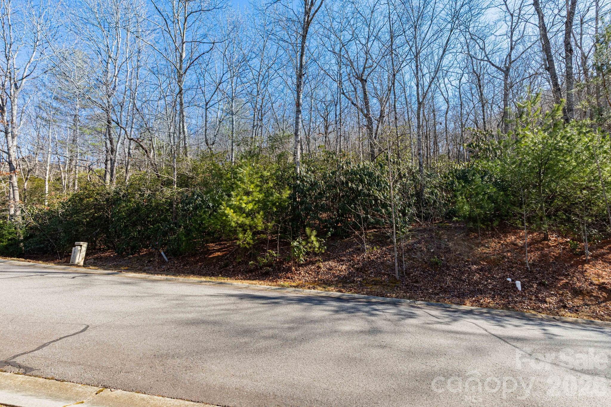 204 Settings Boulevard Black Mountain NC 28711