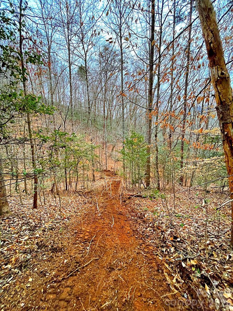 105 Marble Drive Sylva NC 28779