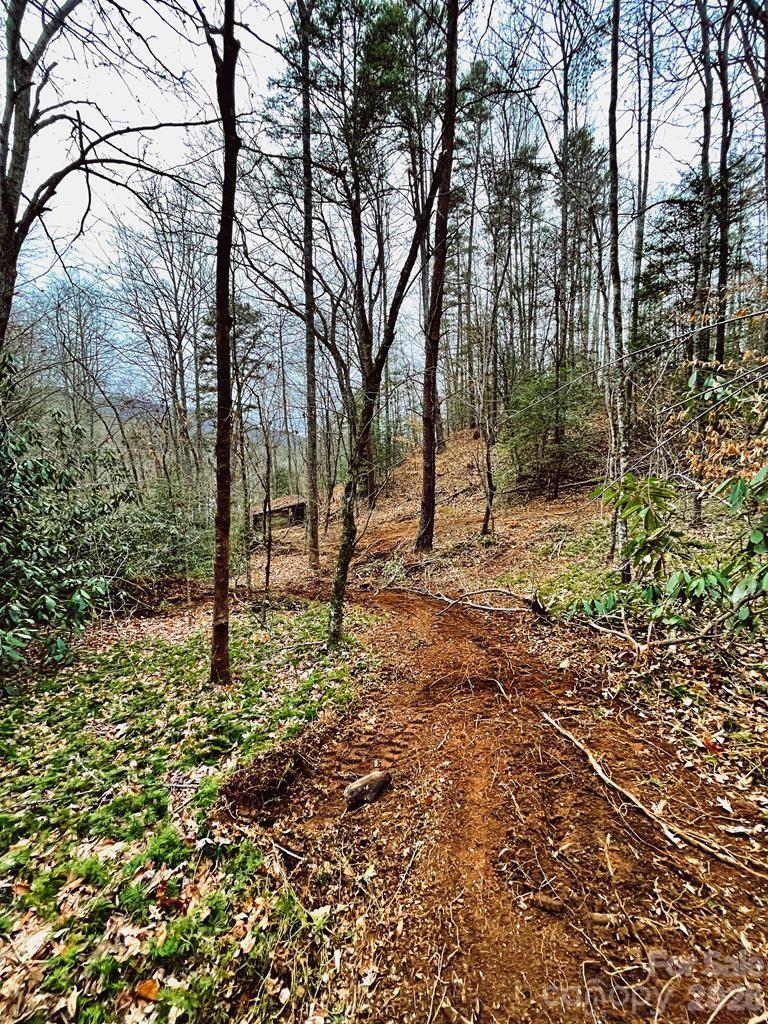 105 Marble Drive Sylva NC 28779