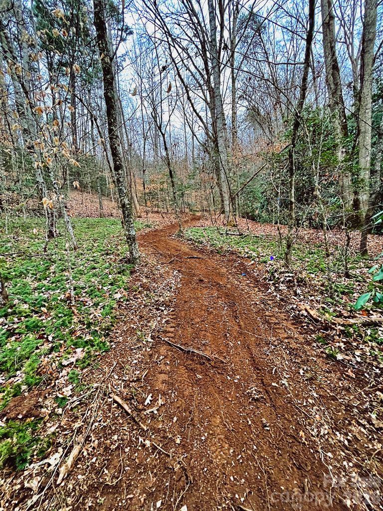 105 Marble Drive Sylva NC 28779
