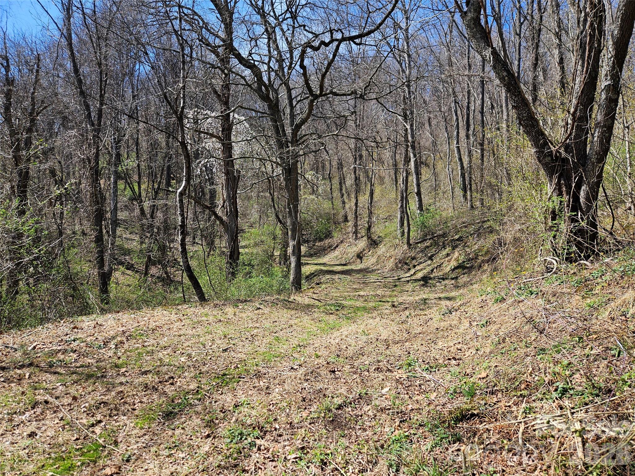 1200 Rocky Knob Road Waynesville NC 28786