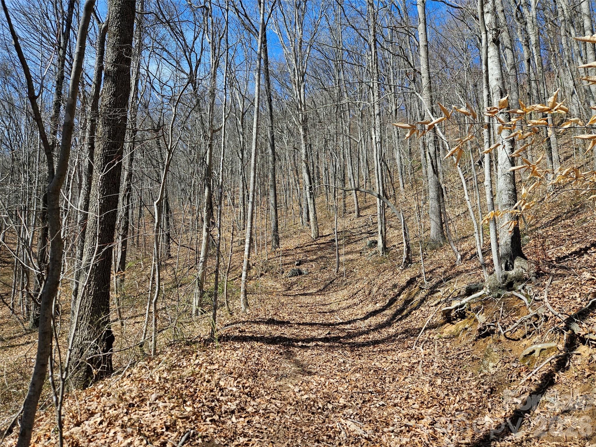 1200 Rocky Knob Road Waynesville NC 28786