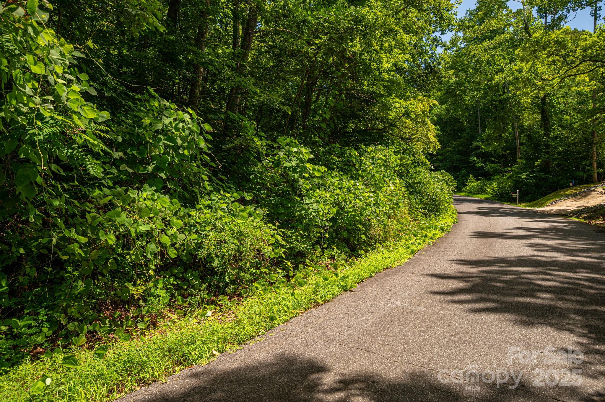 Lot 164 Plantation Drive Rutherfordton NC 28139