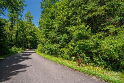 Lot 164 Plantation Drive Rutherfordton NC 28139