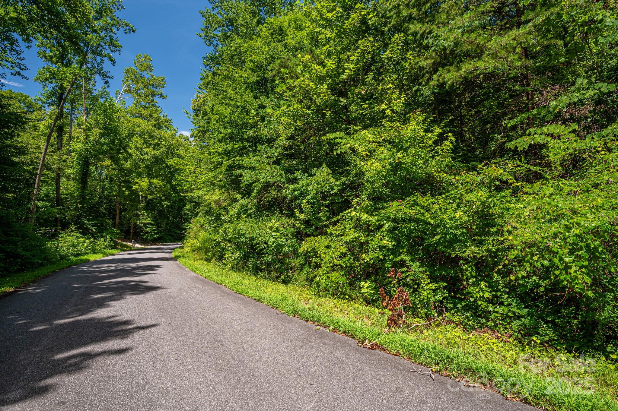 Lot 164 Plantation Drive Rutherfordton NC 28139