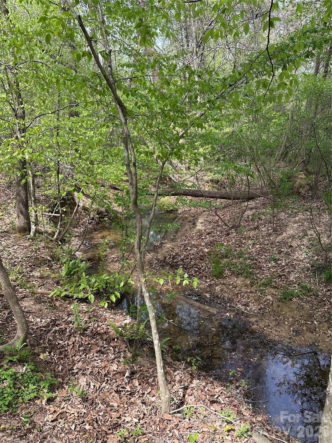 0 Will Boone Road Mocksville NC 27028