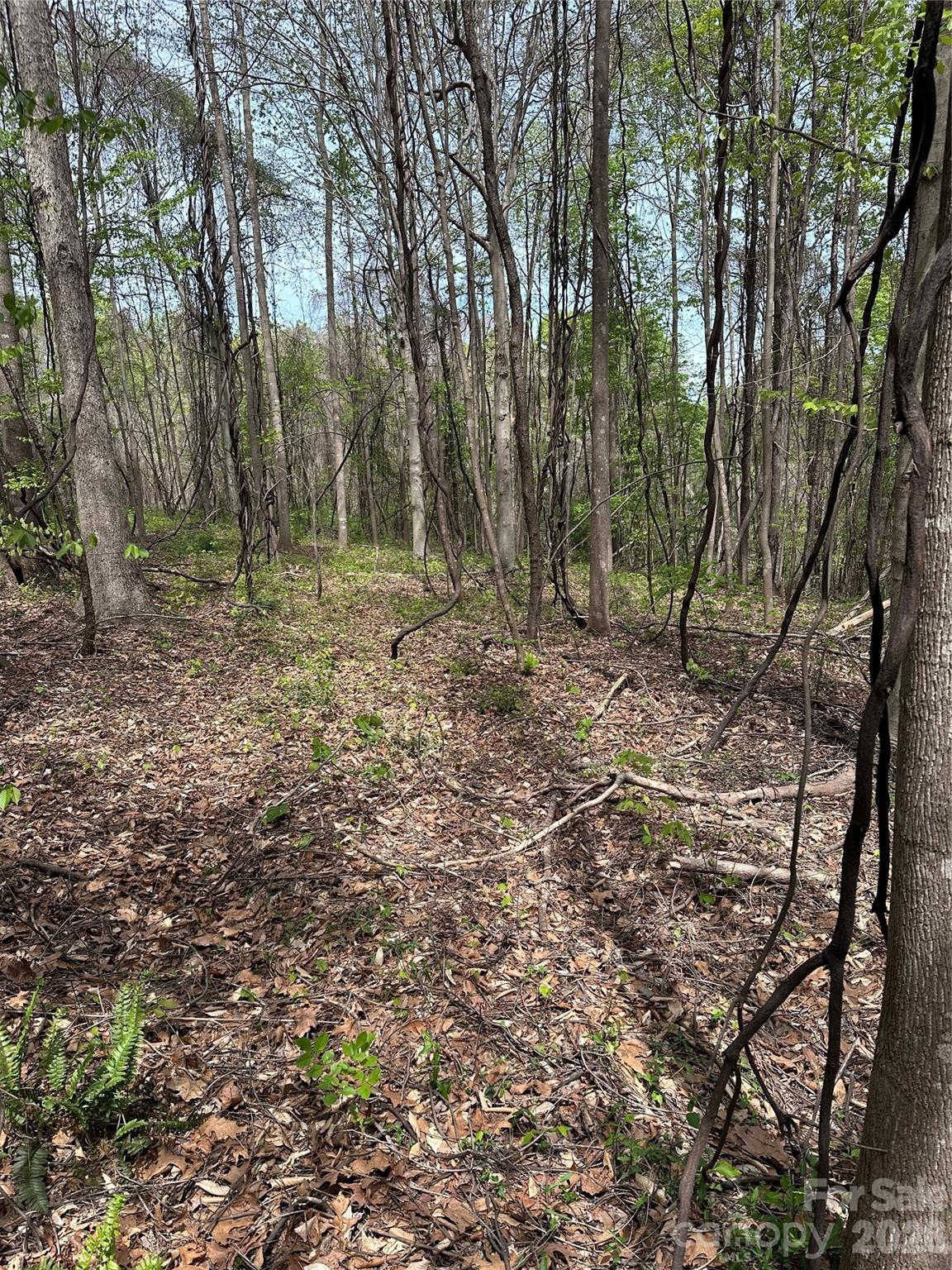 0 Will Boone Road Mocksville NC 27028