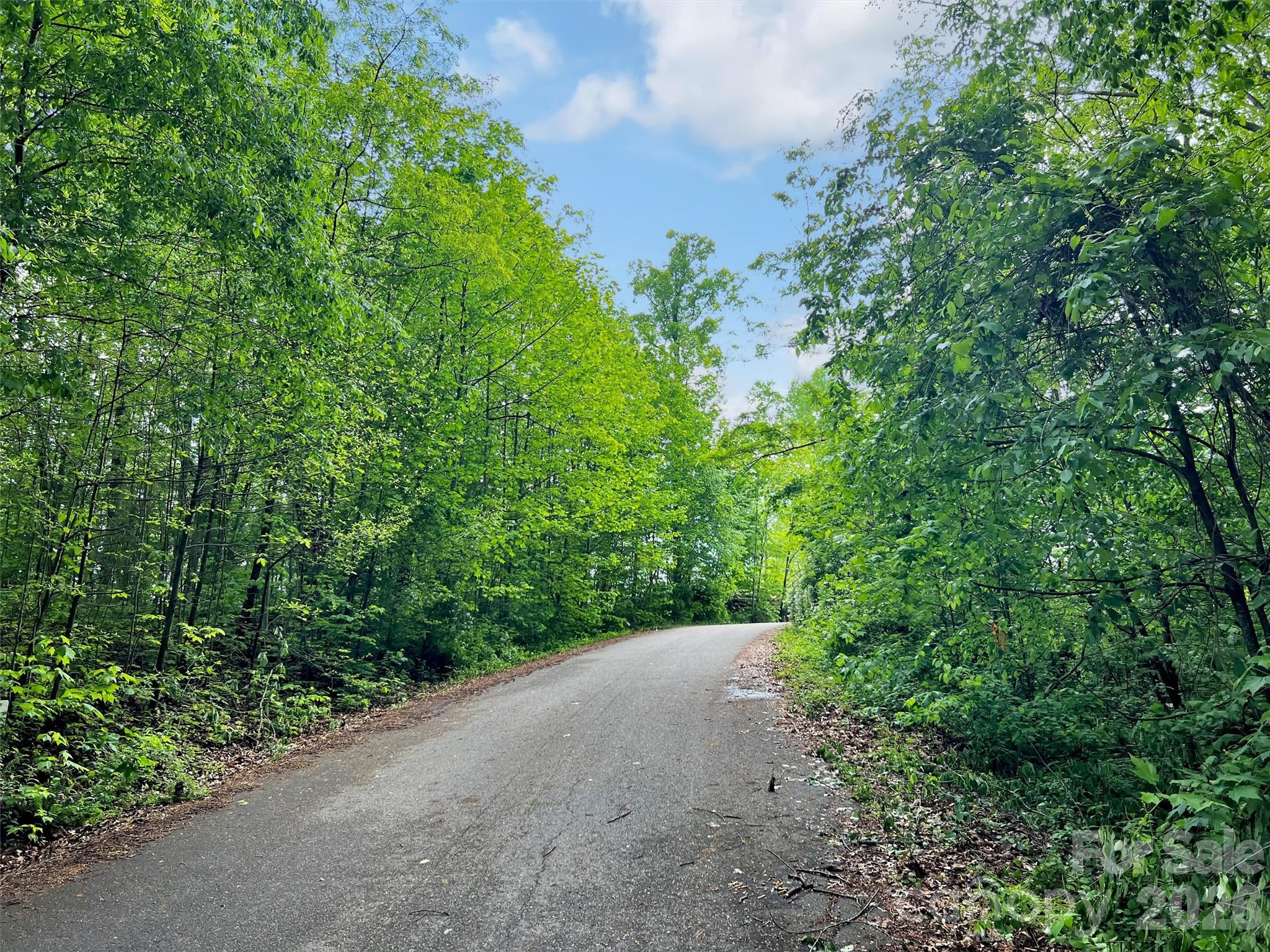 L# 102 Hoosier Court Lake Junaluska NC 28745