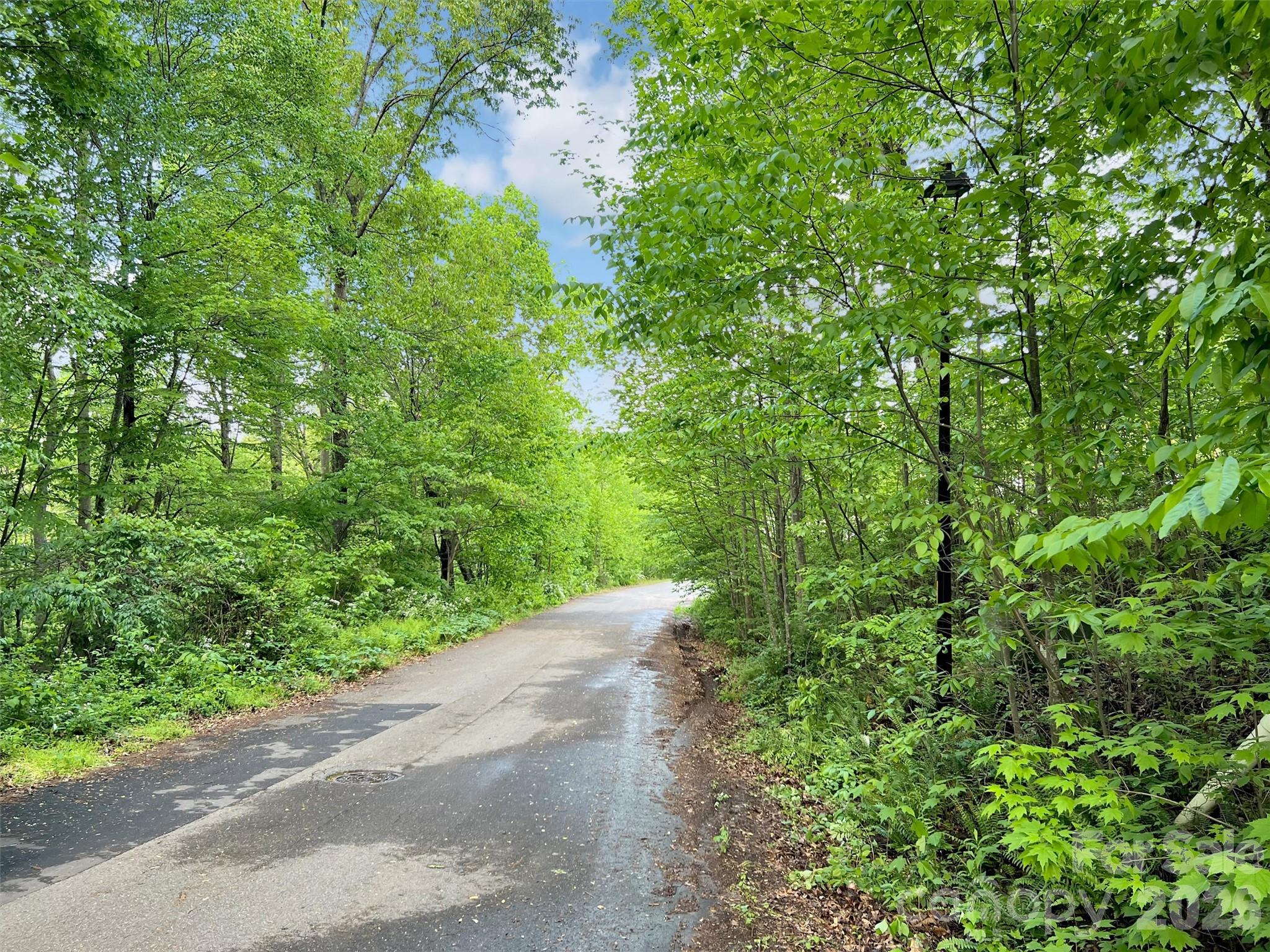 L# 102 Hoosier Court Lake Junaluska NC 28745