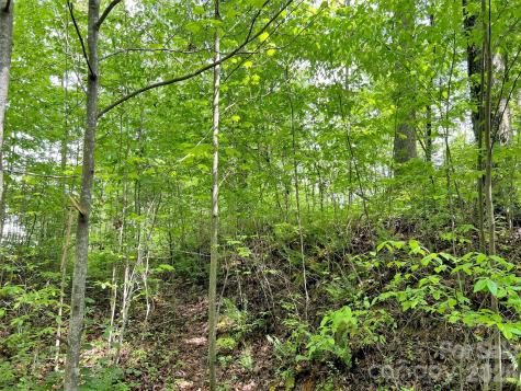 L# 102 Hoosier Court Lake Junaluska NC 28745