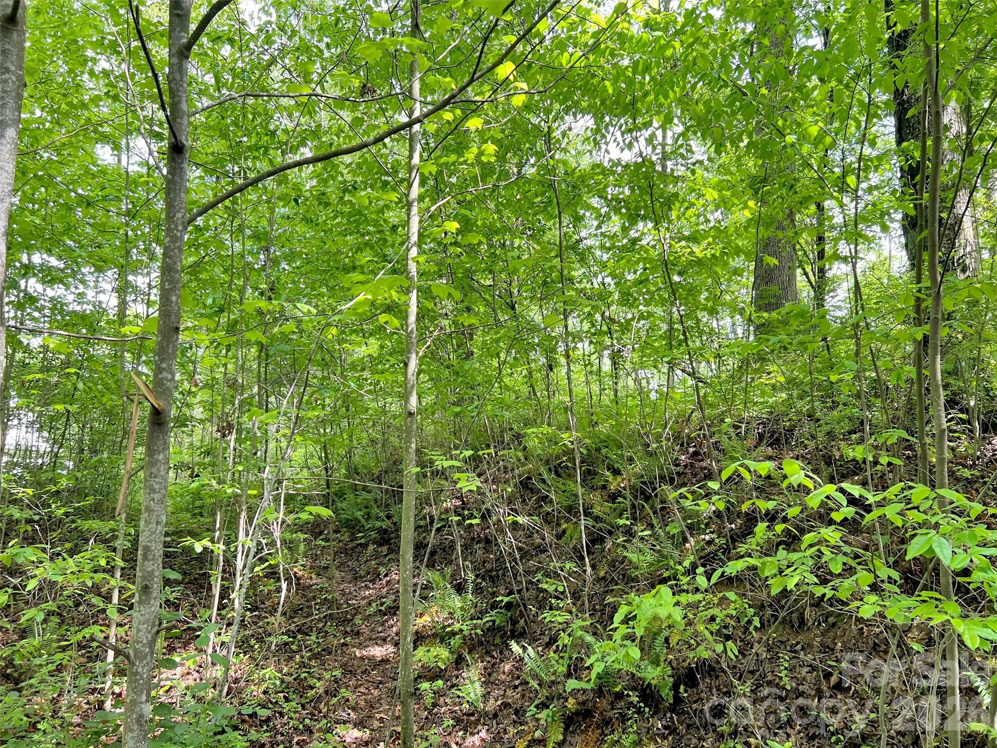 L# 102 Hoosier Court Lake Junaluska NC 28745