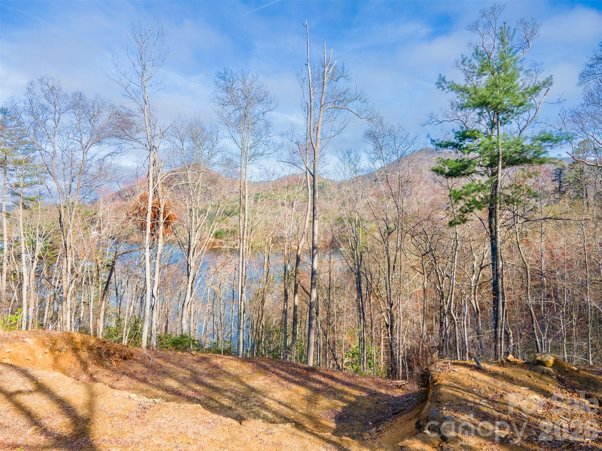 Lot 156 Mandolin Court Tuckasegee NC 28783