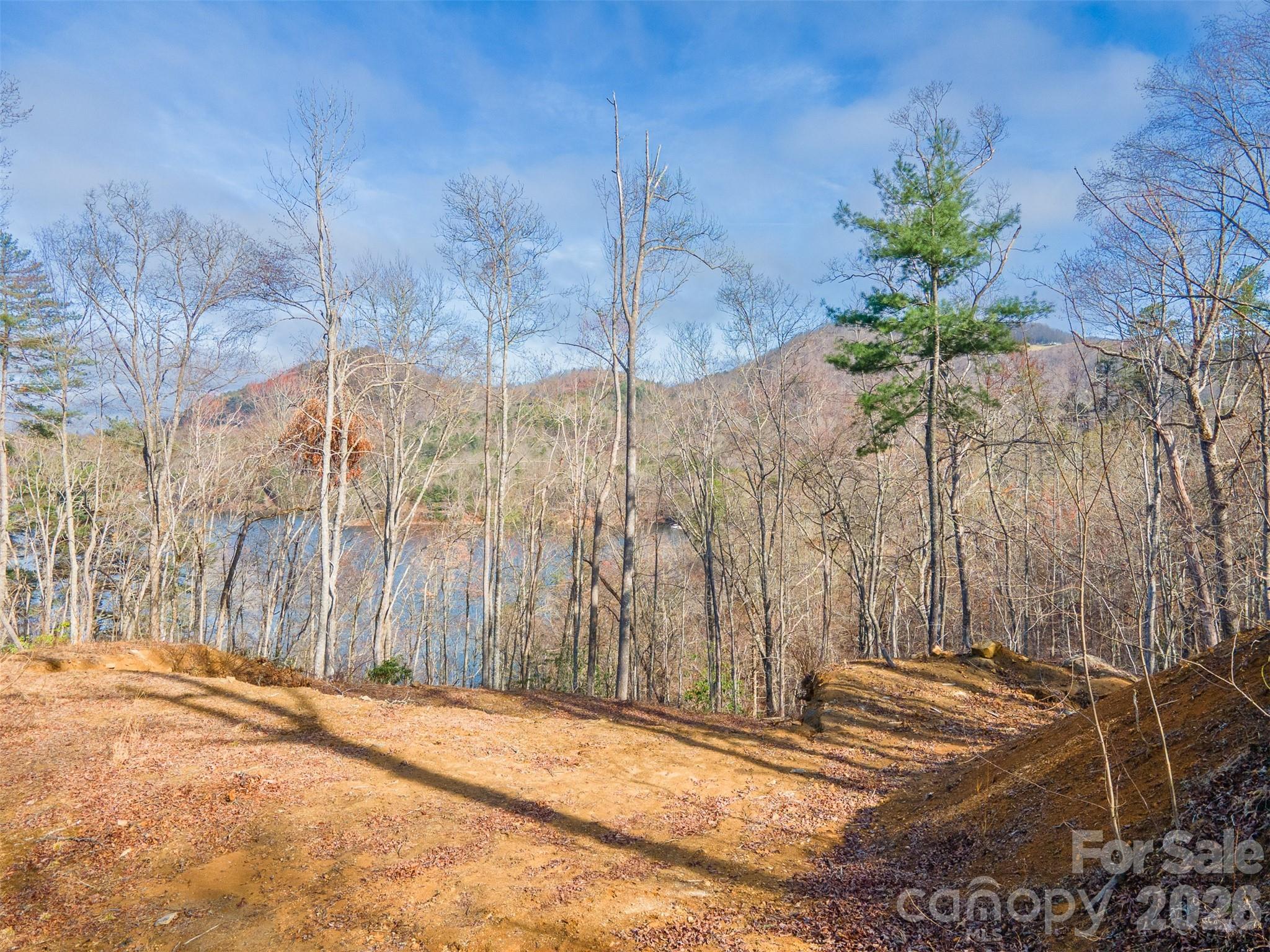 Lot 156 Mandolin Court Tuckasegee NC 28783