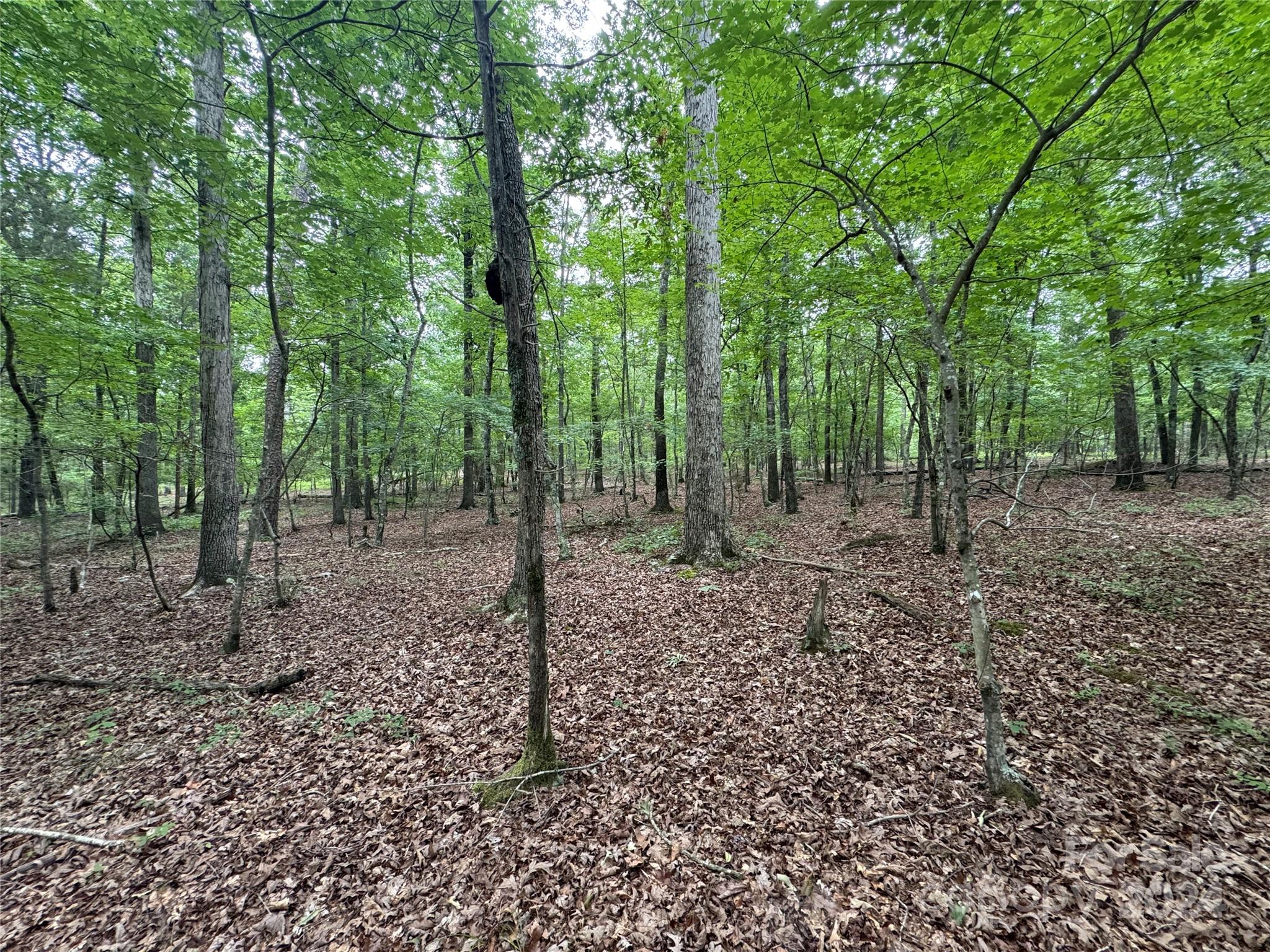 0 Reeves Island Road Gold Hill NC 28071
