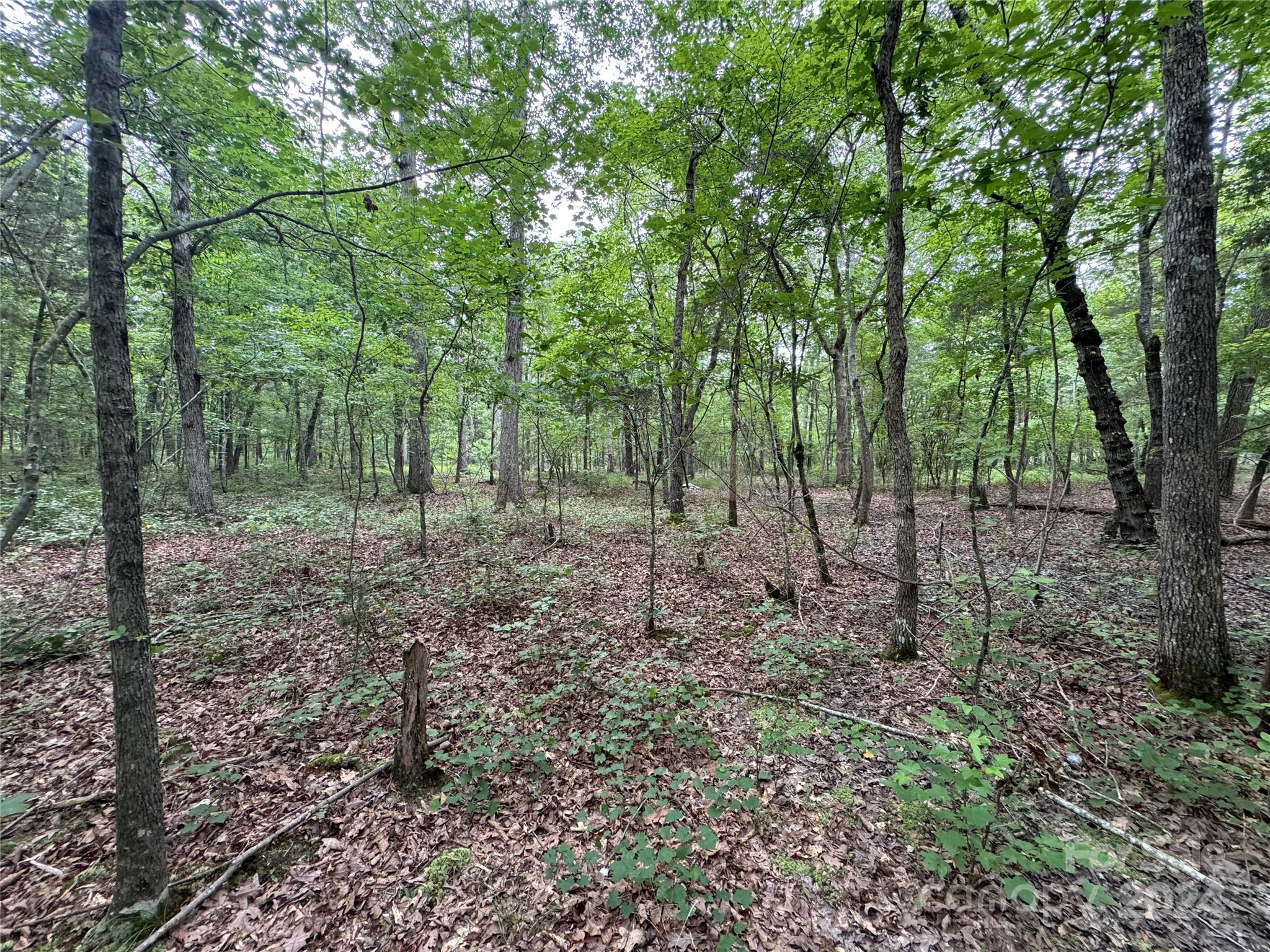 0 Reeves Island Road Gold Hill NC 28071