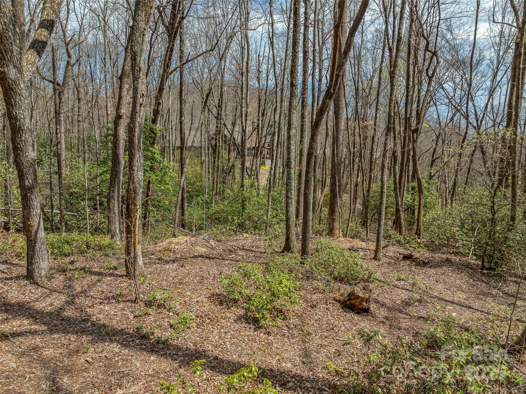 83 Waterstone Drive Hendersonville NC 28792