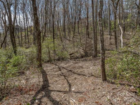 83 Waterstone Drive Hendersonville NC 28792