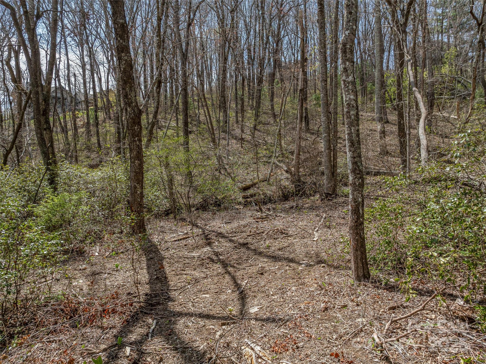 83 Waterstone Drive Hendersonville NC 28792