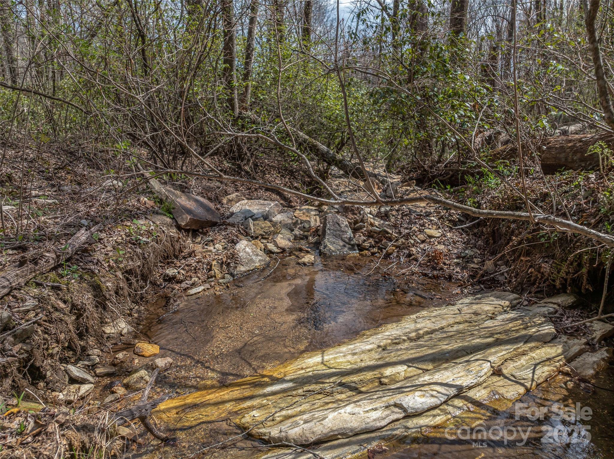 83 Waterstone Drive Hendersonville NC 28792