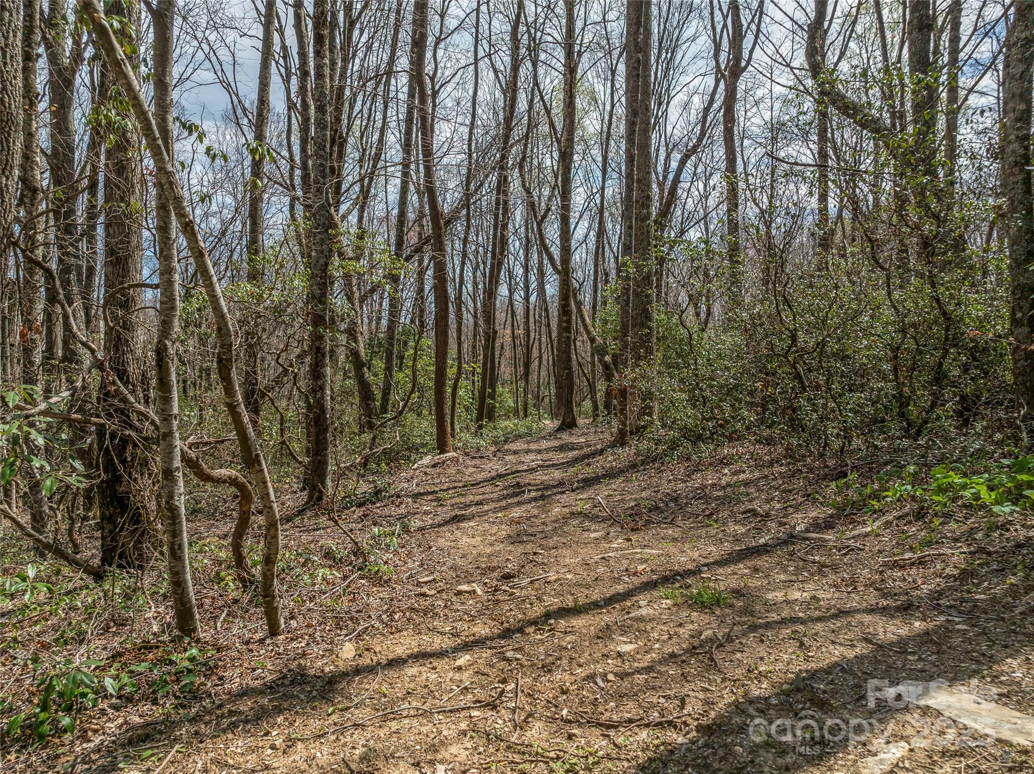 83 Waterstone Drive Hendersonville NC 28792