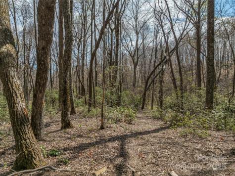 83 Waterstone Drive Hendersonville NC 28792
