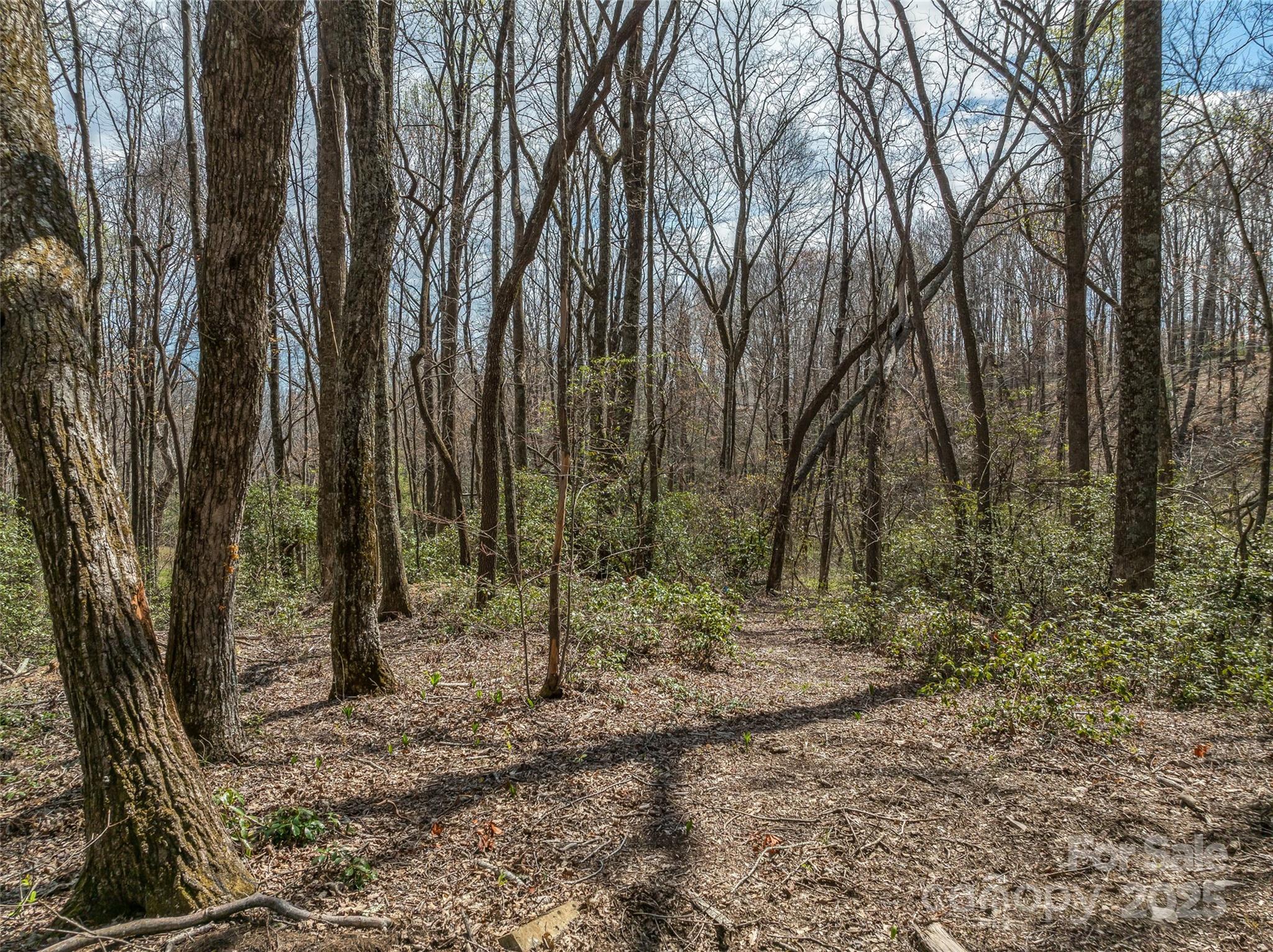 83 Waterstone Drive Hendersonville NC 28792