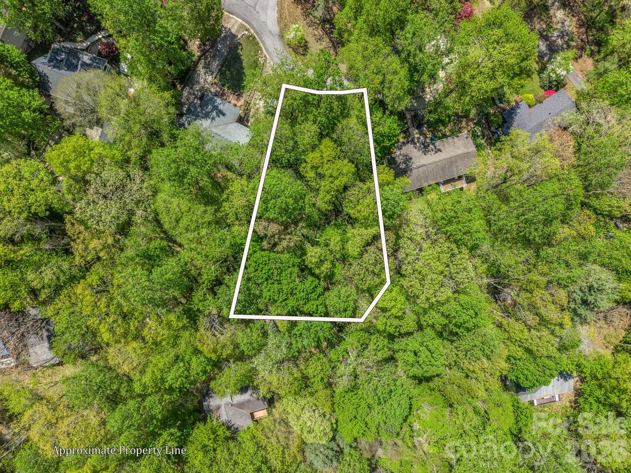 99999 Mountain Site Lane Asheville NC 28803