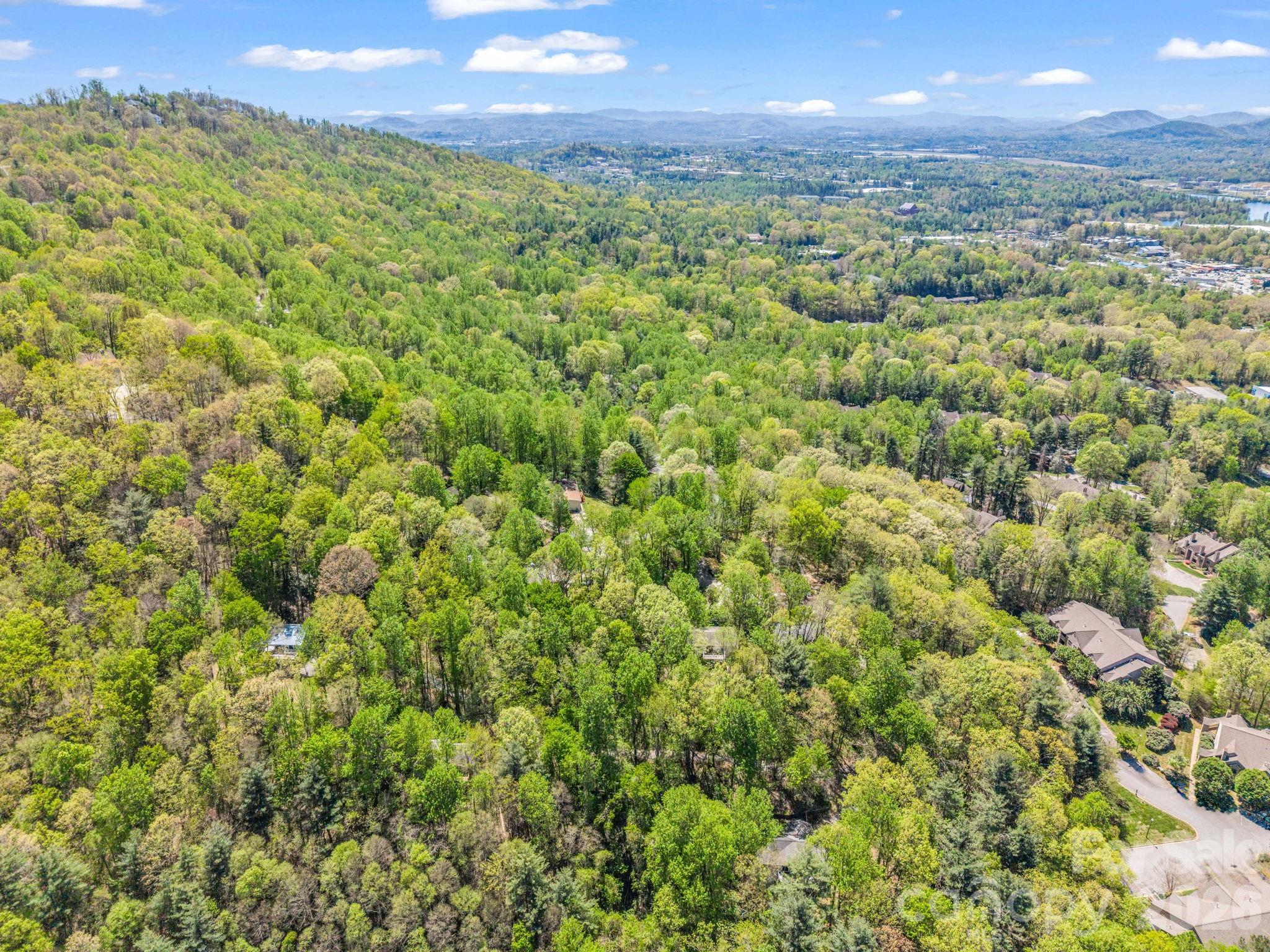 99999 Mountain Site Lane Asheville NC 28803