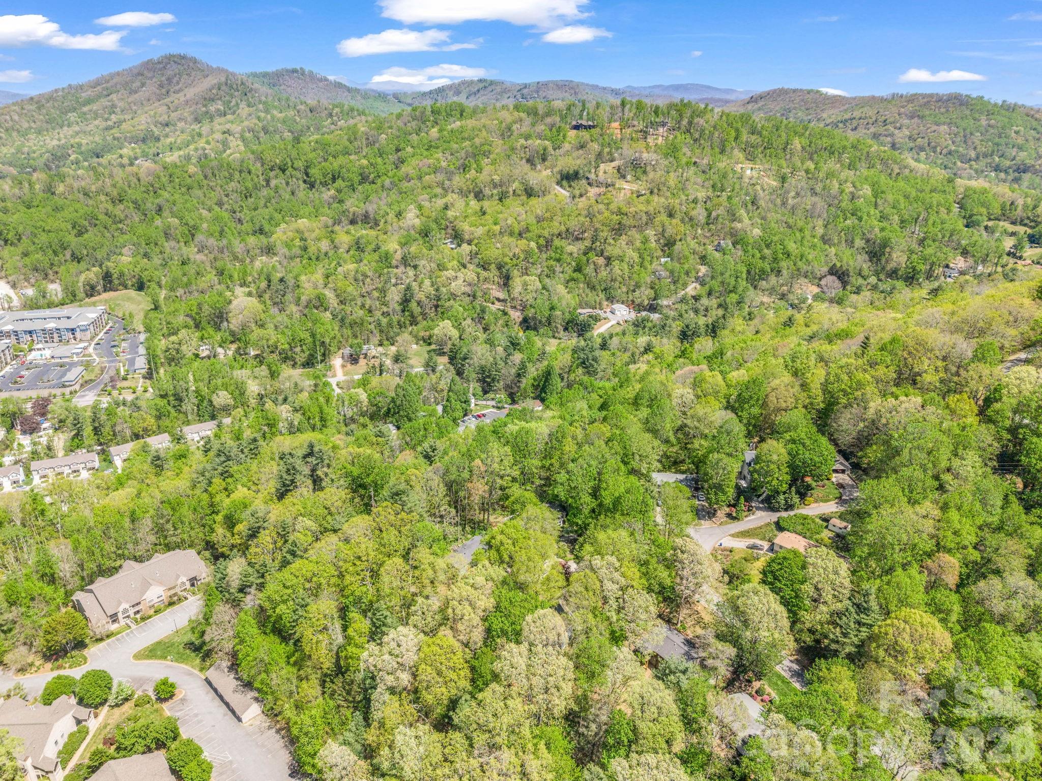 99999 Mountain Site Lane Asheville NC 28803
