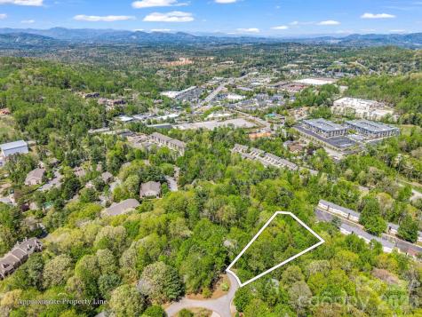99999 Mountain Site Lane Asheville NC 28803