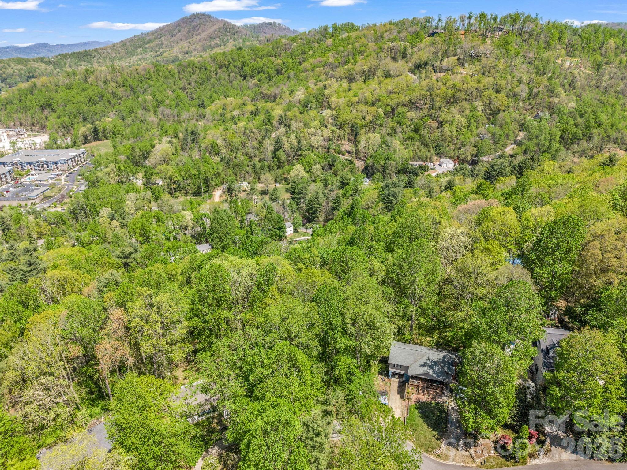 99999 Mountain Site Lane Asheville NC 28803