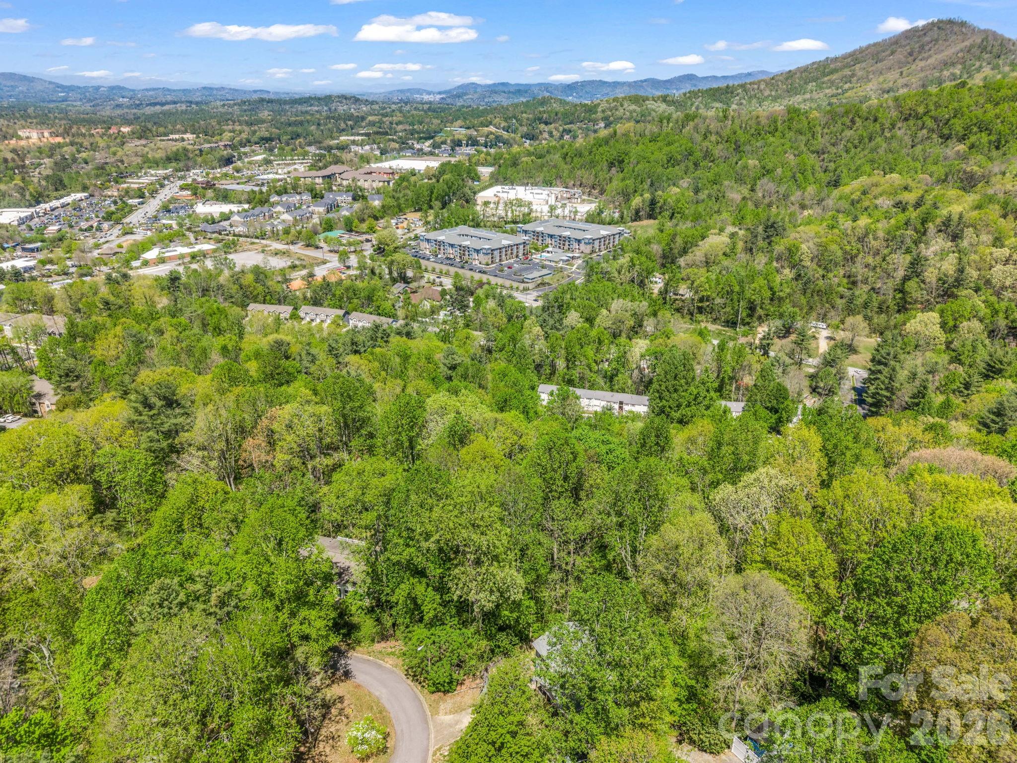 99999 Mountain Site Lane Asheville NC 28803