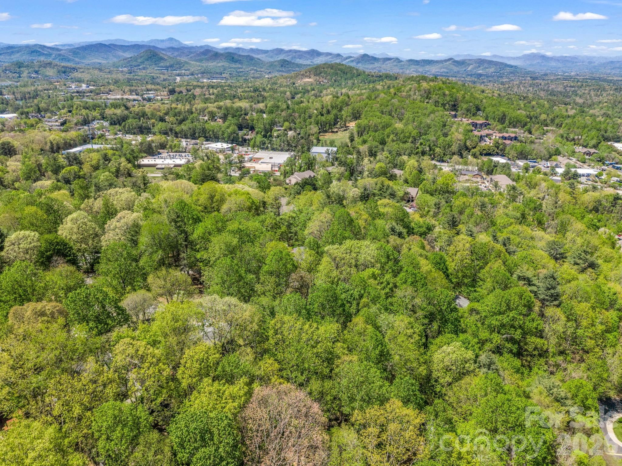 99999 Mountain Site Lane Asheville NC 28803