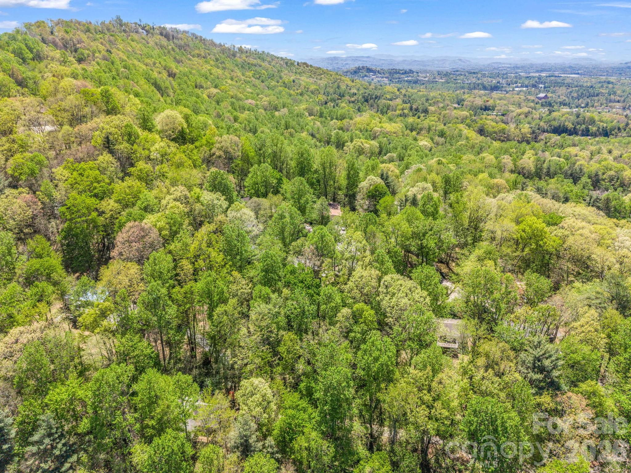 99999 Mountain Site Lane Asheville NC 28803