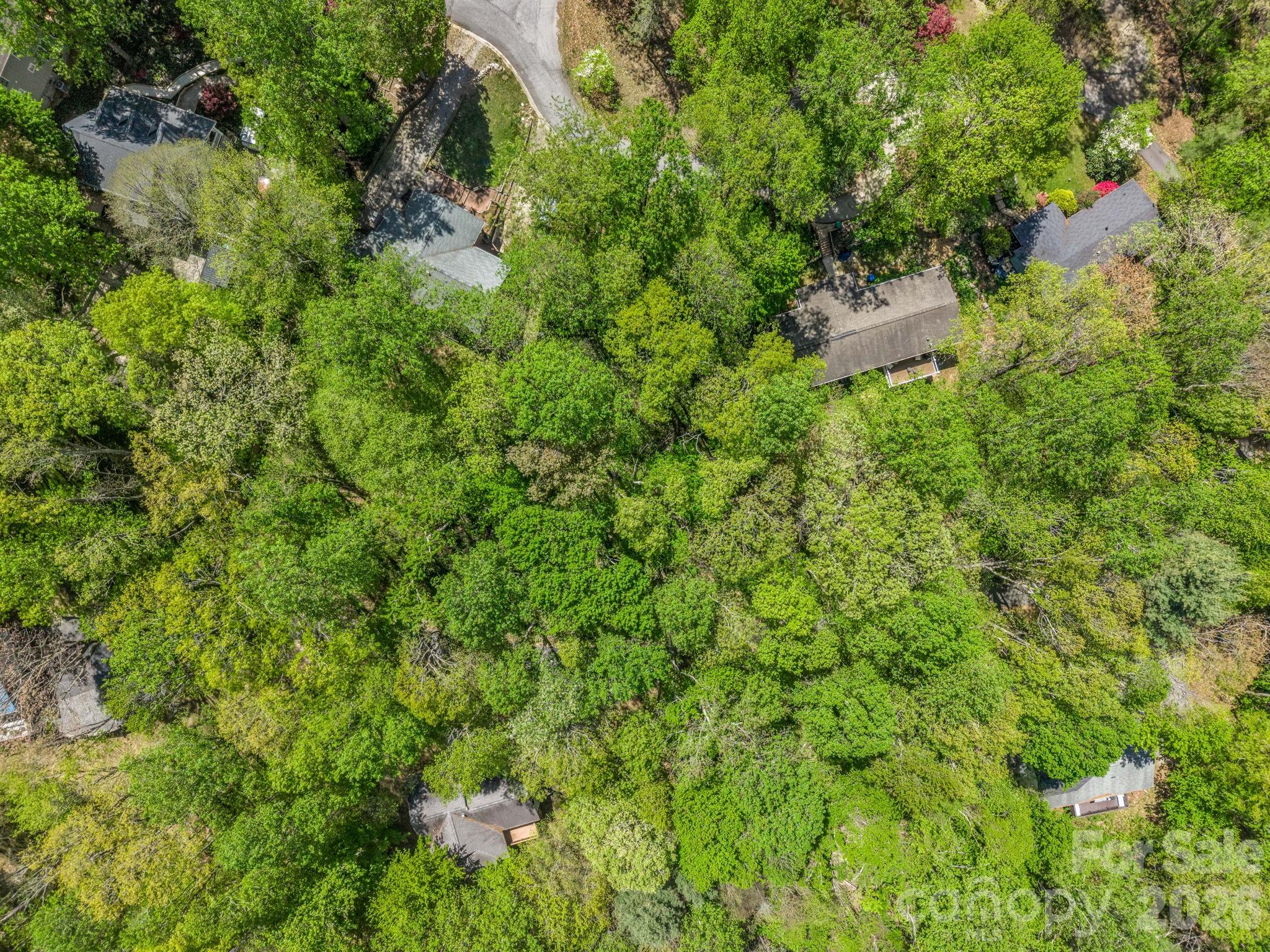 99999 Mountain Site Lane Asheville NC 28803