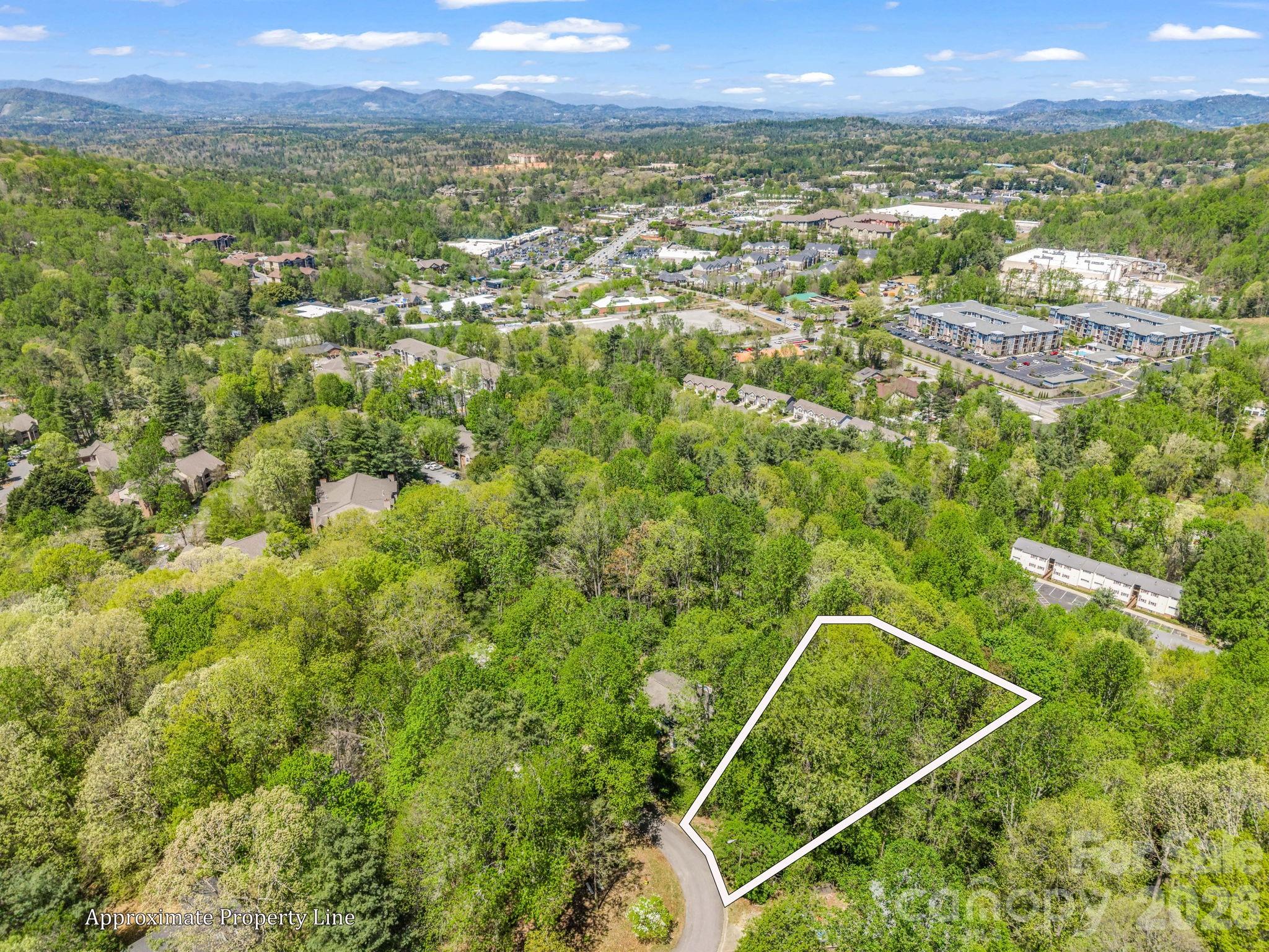 99999 Mountain Site Lane Asheville NC 28803