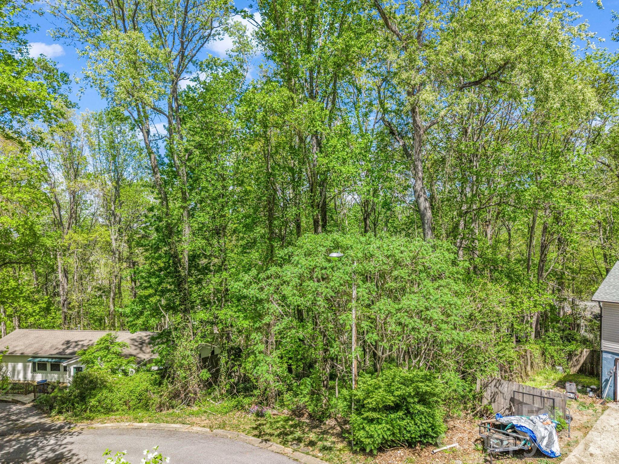 99999 Mountain Site Lane Asheville NC 28803