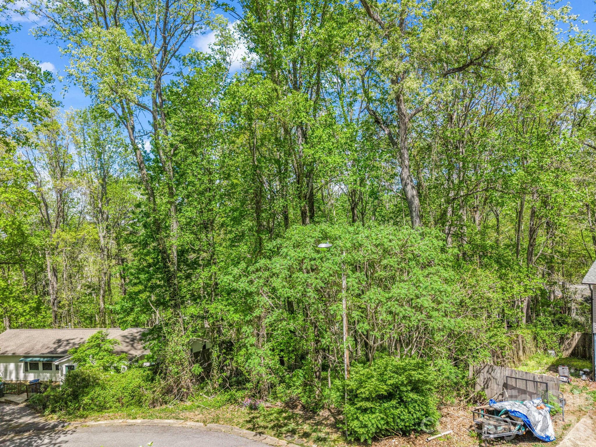 99999 Mountain Site Lane Asheville NC 28803