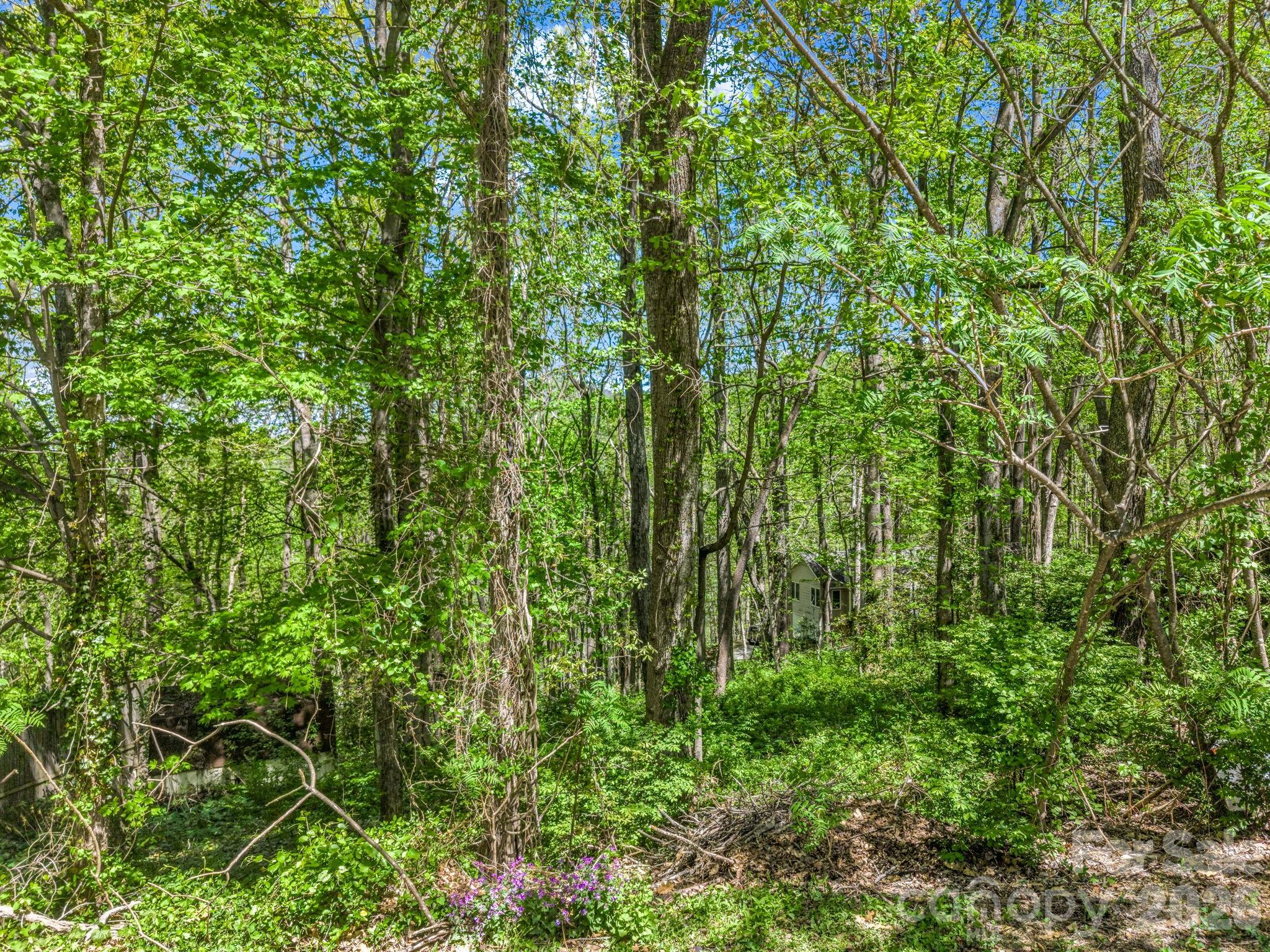 99999 Mountain Site Lane Asheville NC 28803
