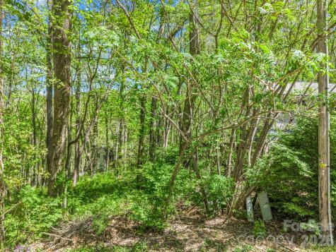 99999 Mountain Site Lane Asheville NC 28803