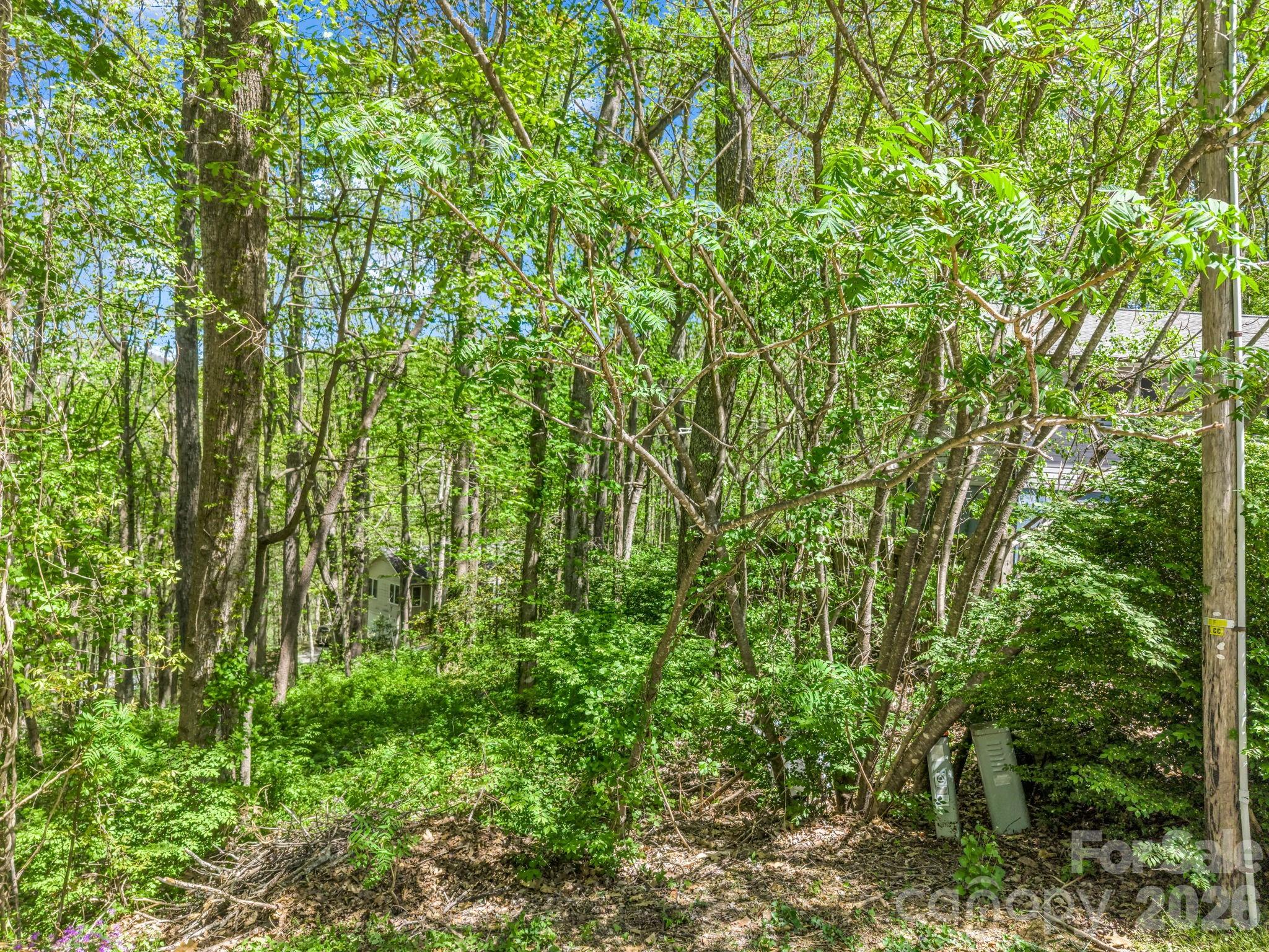 99999 Mountain Site Lane Asheville NC 28803