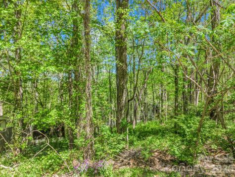 99999 Mountain Site Lane Asheville NC 28803
