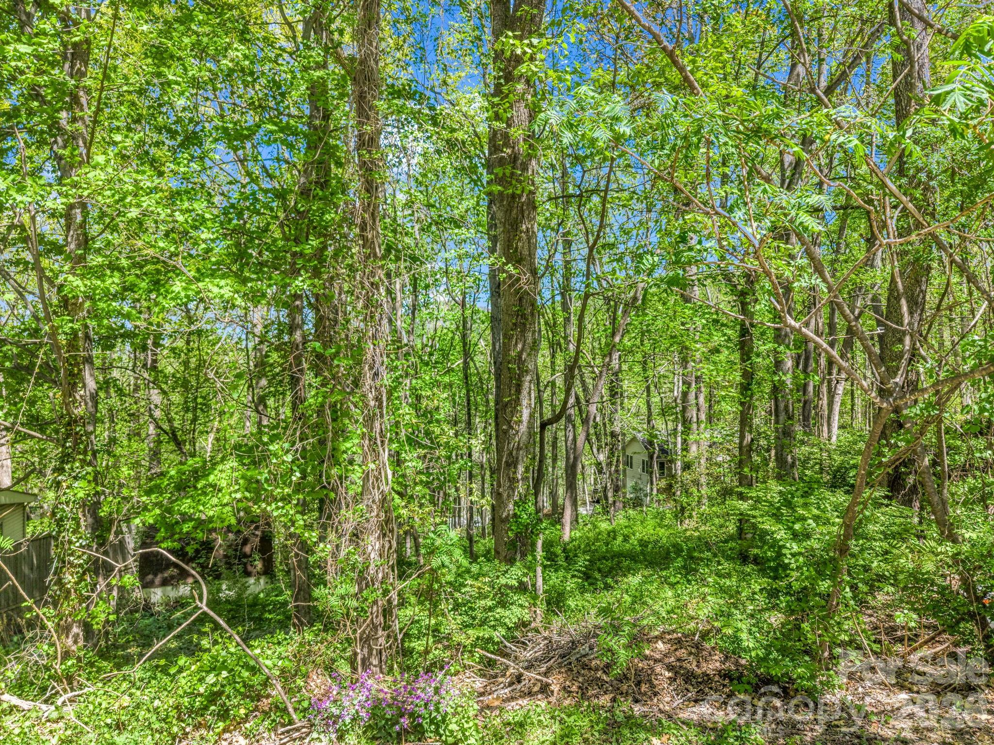 99999 Mountain Site Lane Asheville NC 28803